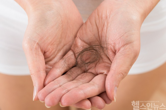 가을철 탈모는 모발 주기 변화와 두피 환경 악화가 겹쳐 두드러지게 나타난다 / 사진=클립아트코리아