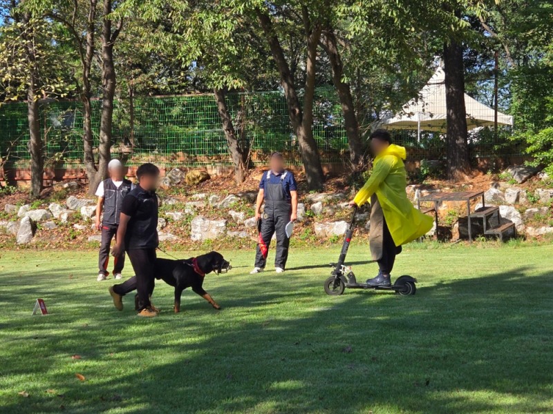 경기도는 2025년 올해부터 본격적으로 맹견사육허가제가 적용되 시행중이다. (기질평가 현장사진)