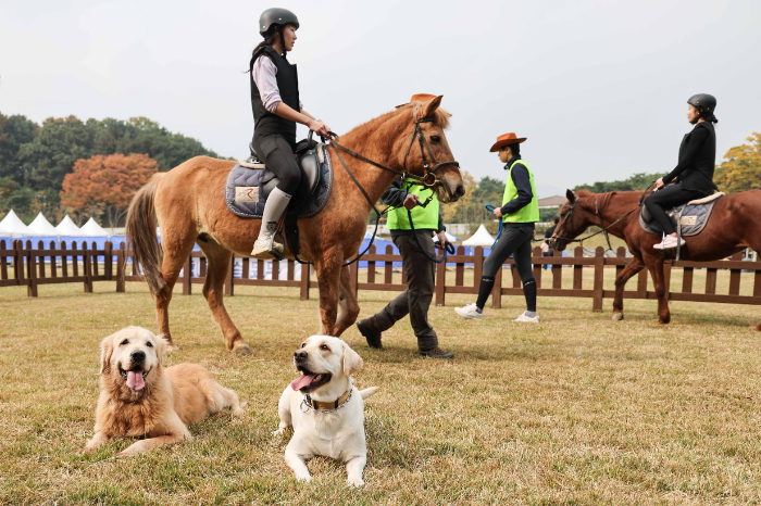 진짜 가을이 온다! 가을에 만나는 스포츠‘승마’
