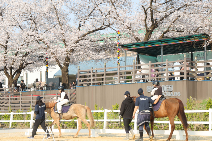 “과천시민공원에서 말馬 만나요”한국마사회‘도심승마축제’ 개최