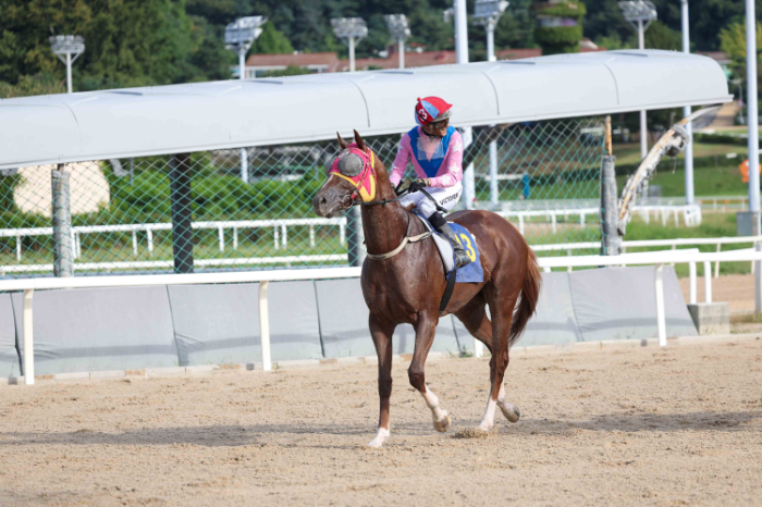 제30회 문화일보배, 무제한급 뒷심으로 우승 차지한 ‘무제한급’