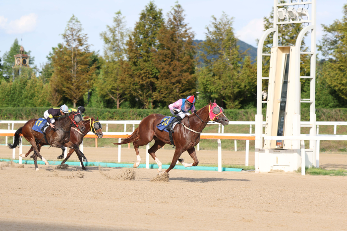제30회 문화일보배, 무제한급 뒷심으로 우승 차지한 ‘무제한급’