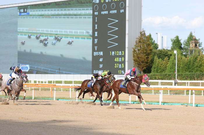 제30회 문화일보배, 무제한급 뒷심으로 우승 차지한 ‘무제한급’