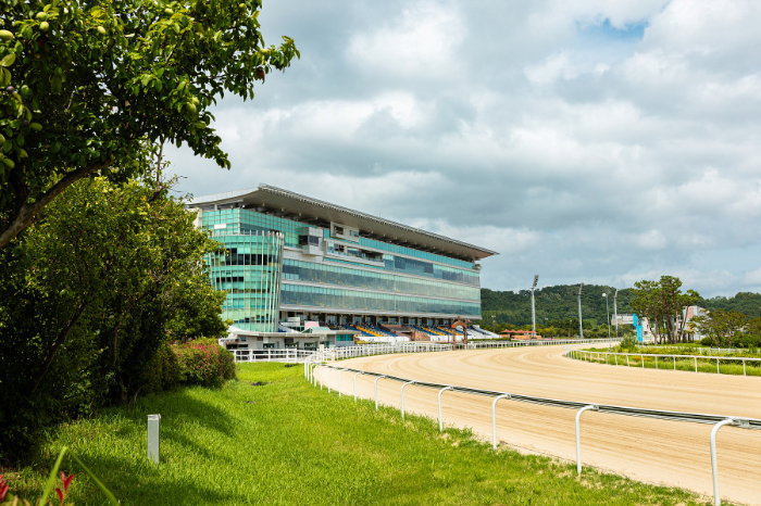 렛츠런파크 부산경남, 20∼21일 동네방네BIFF 개최