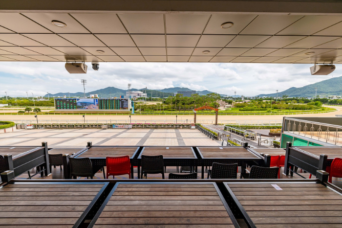 렛츠런파크 부산경남, 20∼21일 동네방네BIFF 개최