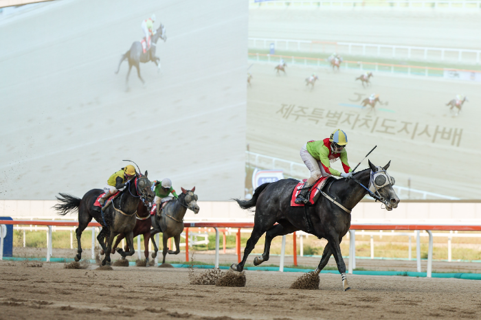 24년9월7일 제주특별자치도지사배 우승마 즐거운여정