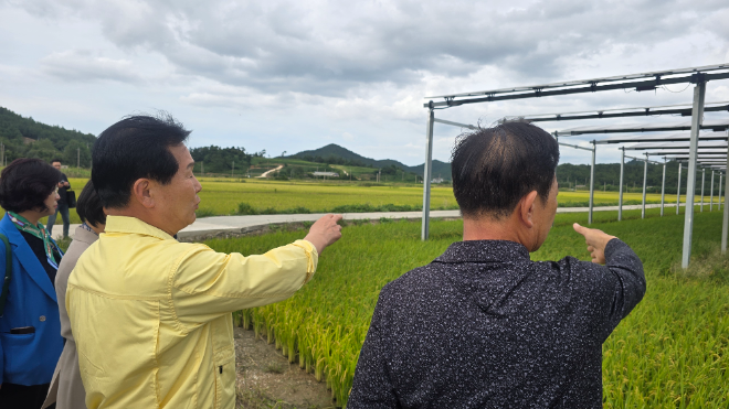 더불어민주당 전남도당위원장 주철현 국회의원(여수시갑)이 9월 22일 전남 영광군을 찾아 재생에너지 주요 사업지인 영농형 태양광 발전단지와 초대형 풍력 실증단지를 차례로 방문했다. 이번 현장 방문은 전남도 에너지산업 관계자들과 함께 지역 내 신재생에너지 인프라를 점검하고, 향후 정책 방향을 모색하기 위한 차원에서 진행됐다.