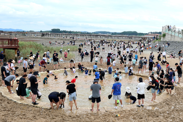 제11회 무안황토갯벌축제에서 진행한 장어잡기 체험. ⓒ 무안군