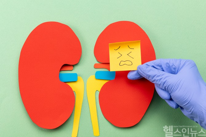 저염식과 균형 잡힌 영양 관리가 콩팥 건강을 지키는 가장 확실한 방법이다 / 사진=클립아트코리아