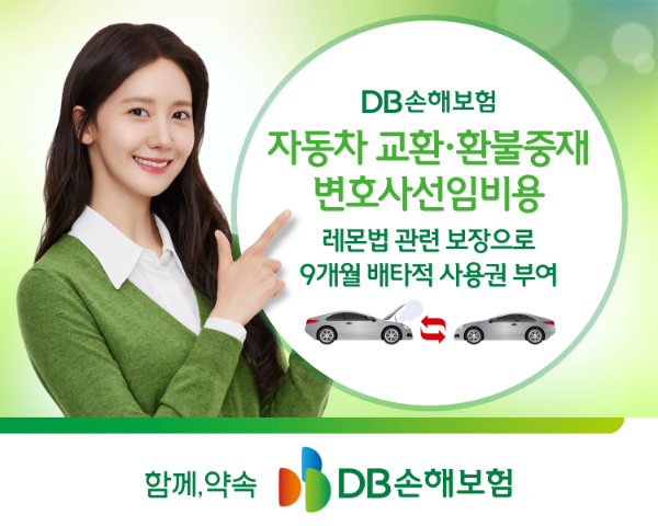 ⓒ DB손해보험