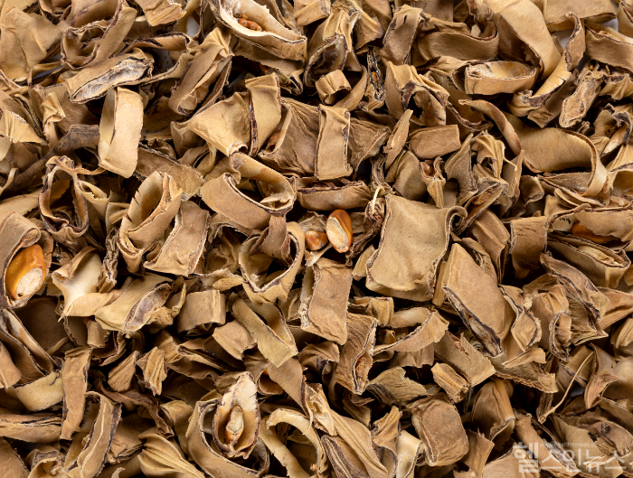 작두콩은 꼬투리째 잘 말린 뒤 기름을 두르지 않고 볶아 사용한다. 이렇게 볶은 콩을 물에 넣고 끓이면 구수한 맛의 작두콩차가 완성된다. (클립아트코리아)