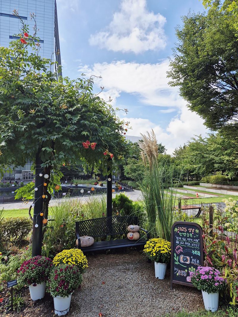 시청 정원에 가을꽃 3900여 본을 심어