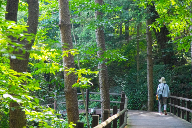 의왕 청계산맑은숲공원
