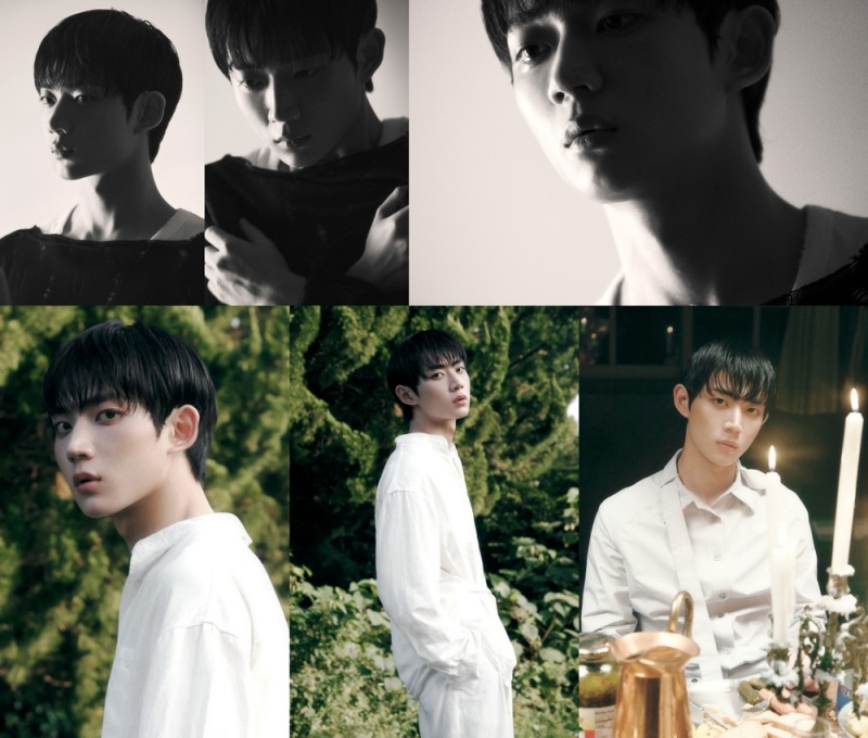 템페스트 한빈·LEW·형섭, 미니 7집 개인 콘셉트 포토 오픈…‘몽환적 아우라+깊은 눈빛’