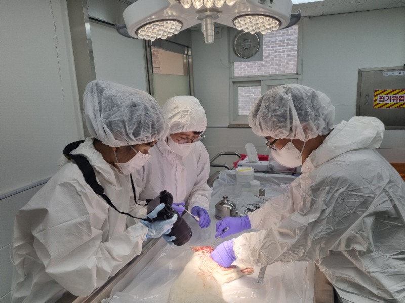 경기도가 운영하는'수의법의학센터'부검현장 사진