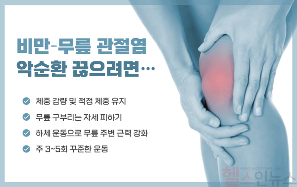 무릎 관절염과 비만 악순환 (사진 제공=힘찬병원)