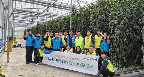 이주한 진부농협 조합장(두 번째 줄 오른쪽에서 다섯 번째), 김장섭 NH저축은행 대표ㅊ이사(두 번째 줄 오른쪽에서 네 번째), NH저축은행 임직원 봉사단 및 진부농협 임직원들이 기념 촬영을 하고 있다. ⓒNH저축은행