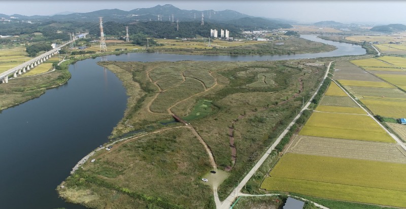 아산시 대표 생태탐방 자원(곡교천 물억새)