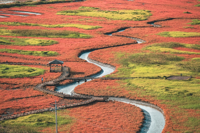 태평염전 산책로. ⓒ 신안군