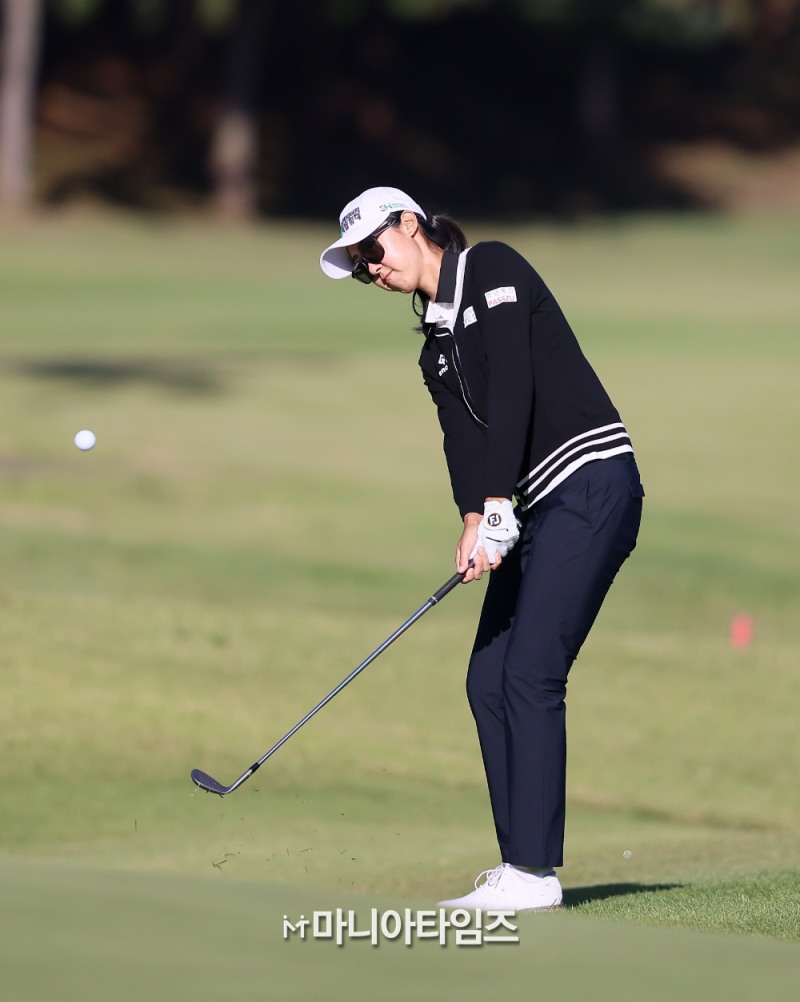 /마니아타임즈 손진현 기자