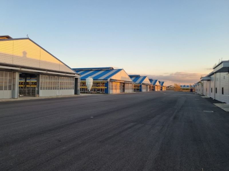 경기도축산진흥센터, 한우개량 사업 본격 추진