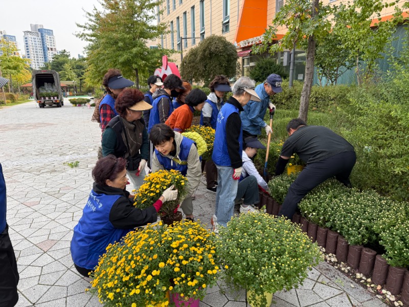 세종시 새롬동, 마을정원 가을꽃 식재