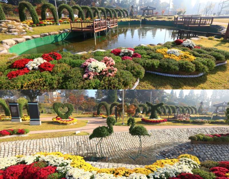 당진시, 가을 정취 물씬…당진국화전시회 10월 31일 개막