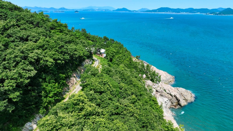 완도 약산 해안 치유의 숲 숲길 전경 ⓒ완도군