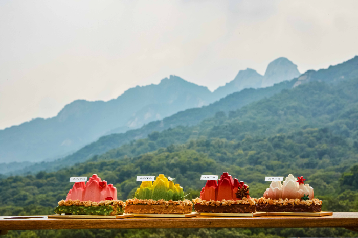 안토 델리 시그니처 북한산 포시즌 케이크