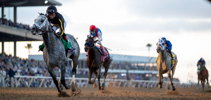 세계 챔피언 경주마 ‘닉스고’, 12월 국내 씨수말로 도입