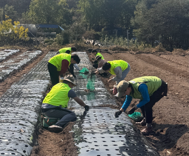 농협은행 정보보호부문 정태영 부행장 및 직원들이 경기도 의왕시 관내농가에서 일손돕기를 실시했다. ⓒ NH농협은행