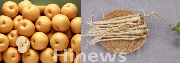 찬바람이 불면 먼저 약해지는 기관지. 매실배숙과 도라지굴무침으로 따뜻하게 지키는 방법. (사진 제공=클립아트코리아)