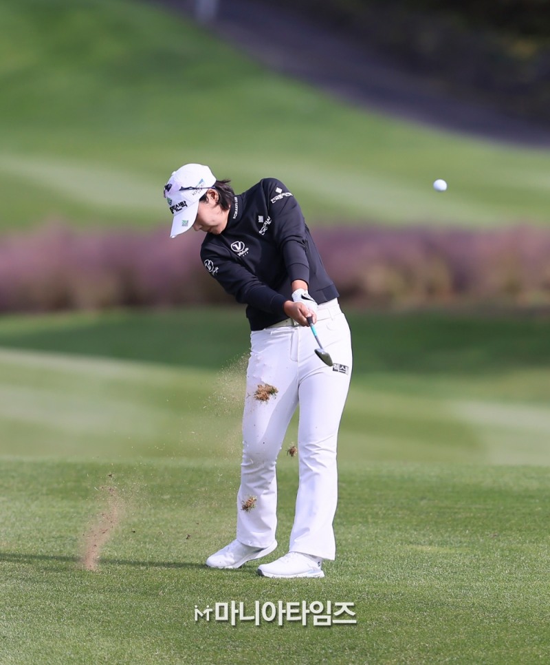 /마니아타임즈 손진현 기자