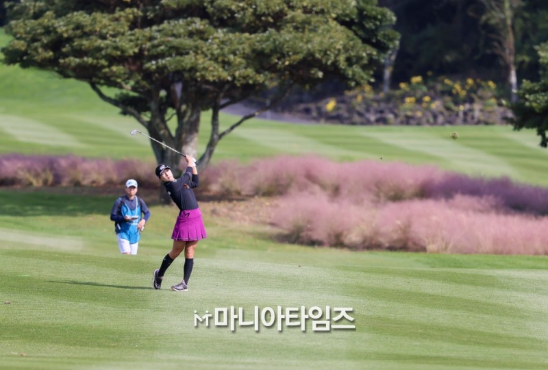 /마니아타임즈 손진현 기자