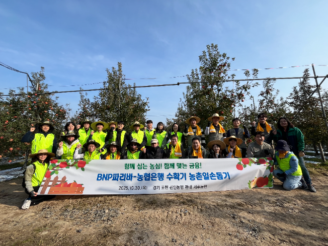 30일 NH농협은행 자금시장부문 손원영 부행장과 BNP파리바 이원재 부문장을 비롯한 양 기관의 직원들이 경기도 포천시 관인농협 관내 사과 농가에서 일손 돕기를 실시 했다. ⓒ NH농협은행