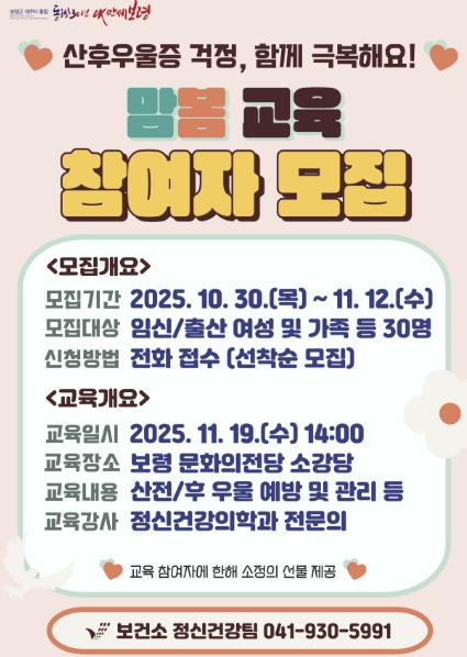 대상자 모집 안내 포스터 (이미지 제공=보령시)