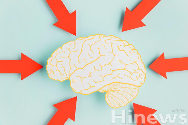 뇌출혈은 조기 발견과 신속한 대응이 생존과 회복을 결정하며, 예방적 관리와 혈압 조절이 핵심이다. (사진 제공=클립아트코리아)