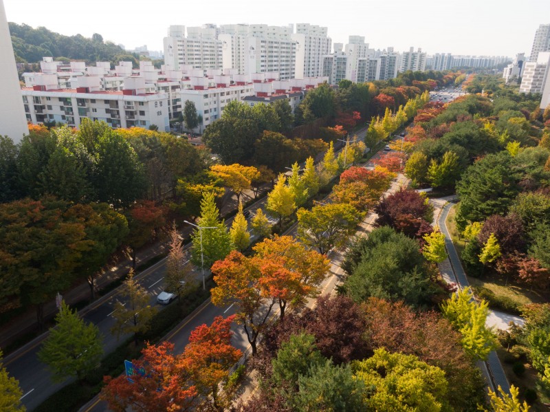 녹색도시 우수사례(가로수 분야) 공모에‘우수상'수상