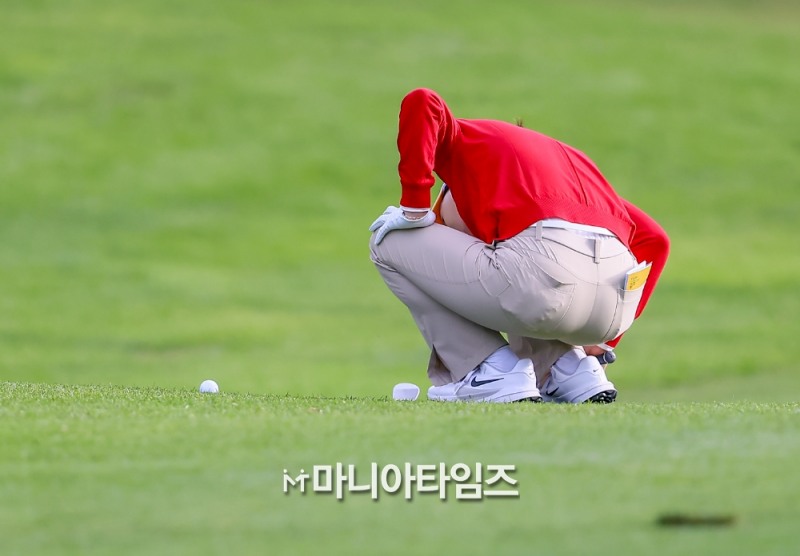 /마니아타임즈 손진현 기자