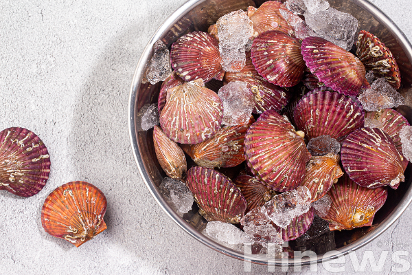 겨울철 제철 조개류는 영양이 풍부하지만, 신선도와 위생 관리를 철저히 해야 안전하게 즐길 수 있다. (사진 제공=클립아트코리아)