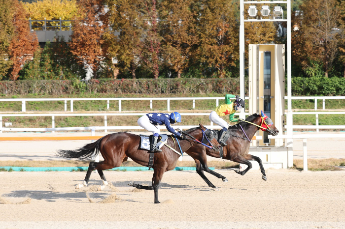 제14회 서울경제신문배, ‘비에스스톰’의 짜릿한 역전승
