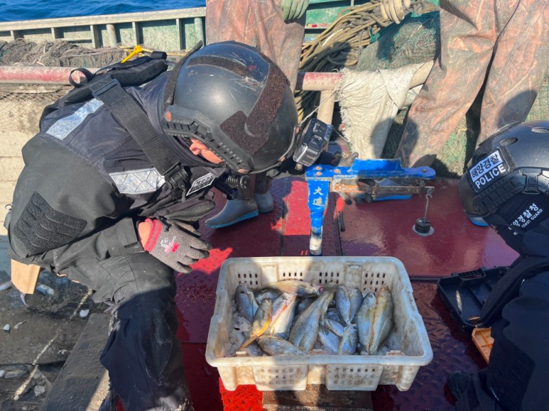 어획물 무게 측정중인 목포 해경 (사진제공=목포해양경찰)