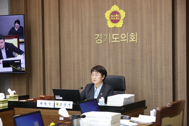 고은정 경기도의원