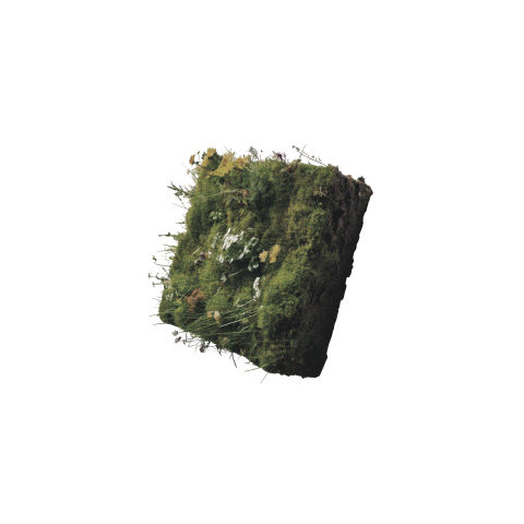 밴드 ‘컨파인드 화이트(Confined White)’, 첫 EP 발매…드라마틱 사운드