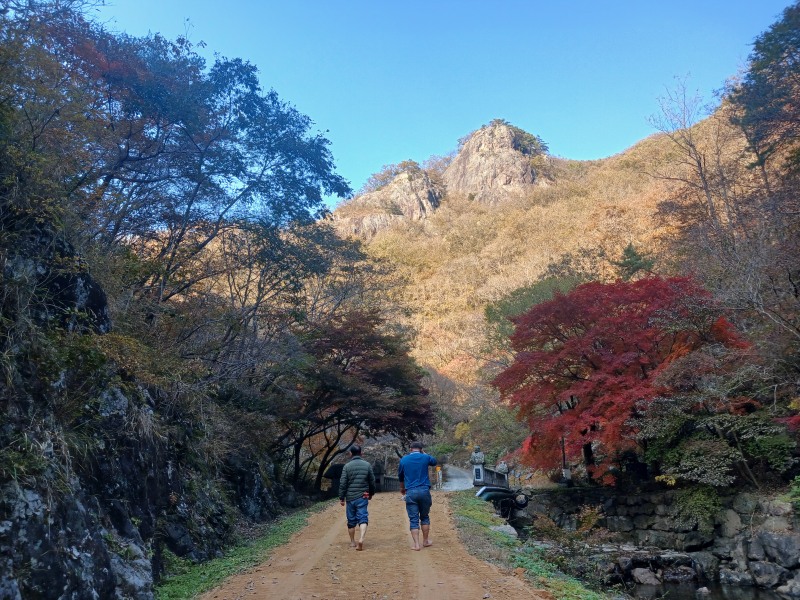가마골생태공원 흙길 산책로 (사진제공=담양군)