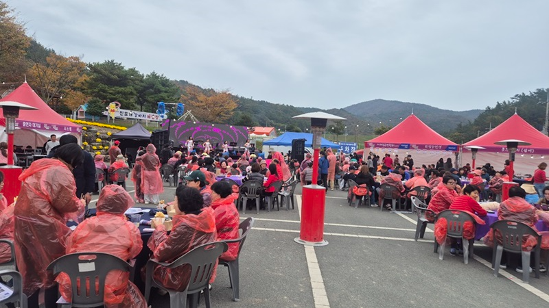 진도홍주 하이볼 페스타 (사진제공=진도군)