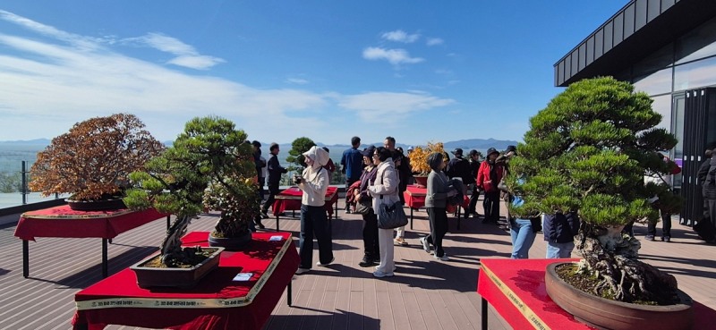 2025 ABFF 컨벤션&대한민국 분재 대전 / 사진=신안군