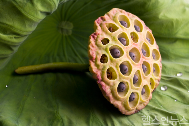 작은 구멍이 모인 패턴은 많은 사람에게 본능적인 불쾌감과 거부감을 유발한다. (이미지 제공=클립아트코리아)