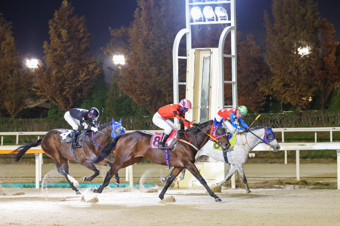 신예의 첫승부터 명장의 500승, 그리고 연승마의 질주까지… 경마계 ‘기록 행진’ 이어져