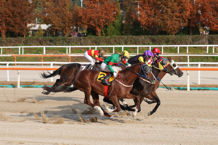 극적인 추입승! ‘위즈리얼리티’, 제14회 스포츠월드배 우승